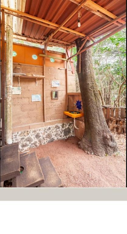 Casa Ecologica Διαμέρισμα Tepoztlan Εξωτερικό φωτογραφία