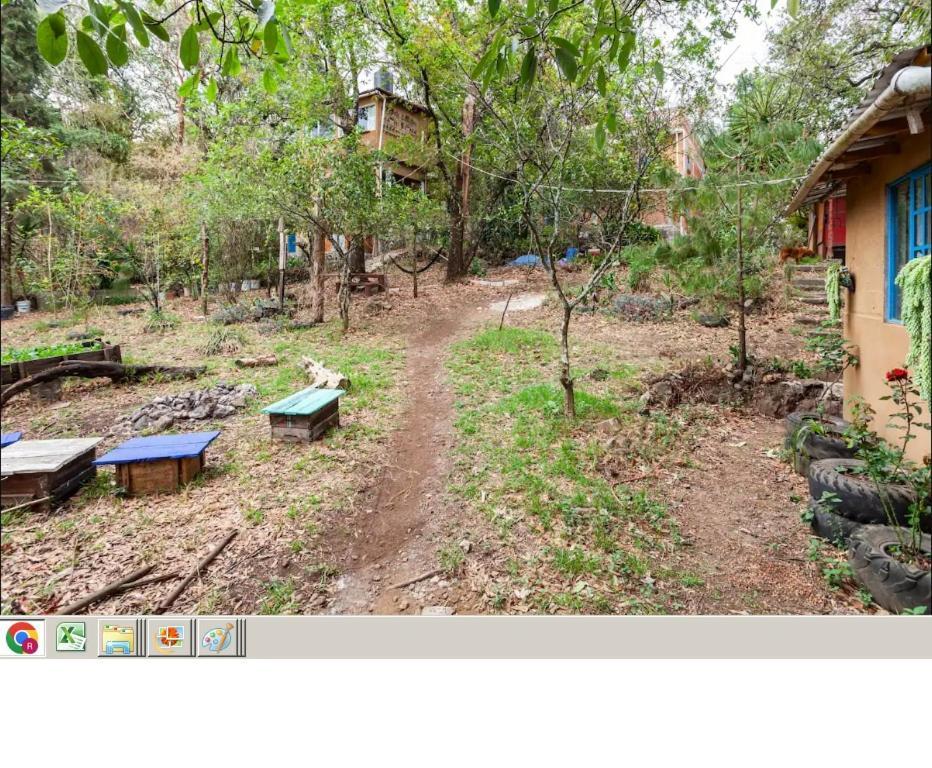 Casa Ecologica Διαμέρισμα Tepoztlan Εξωτερικό φωτογραφία